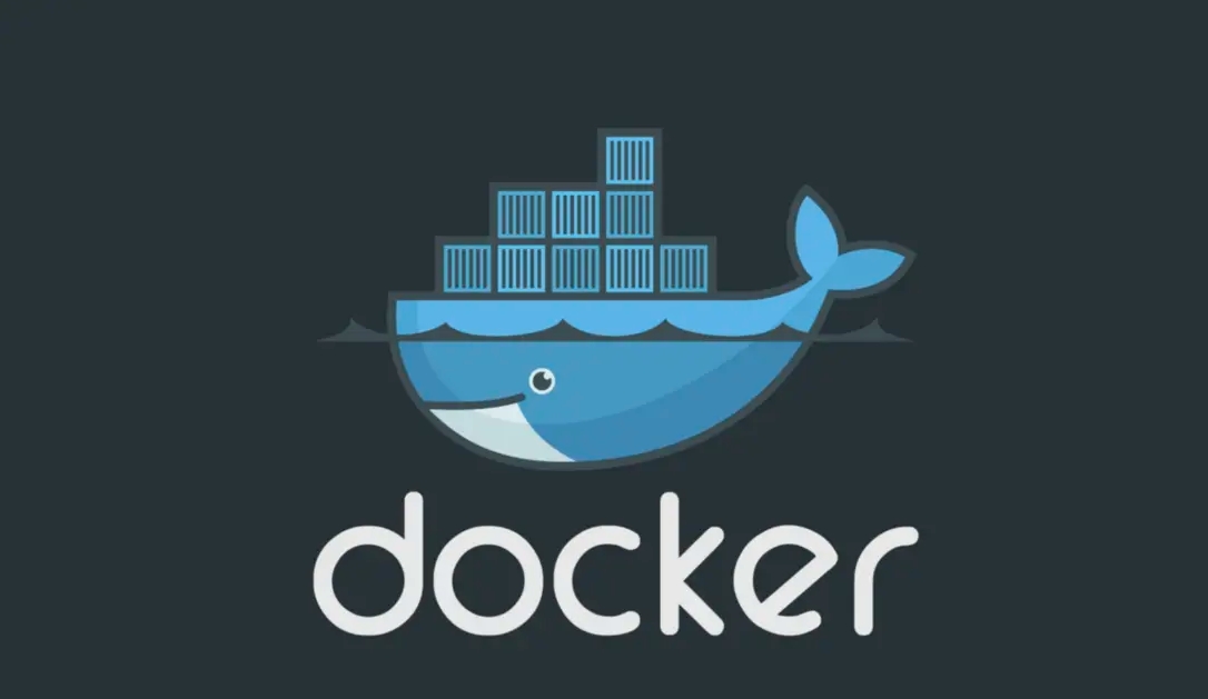 large picture of the cover